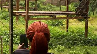 An impressive and unprecedented sex scene in gogo in the adultery of a couple in black africa by a colleague who after having fuck the wife in front of the husband also fucks the husband in front of t 😲