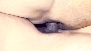 want to see janvibhabhi getting fucked hard?