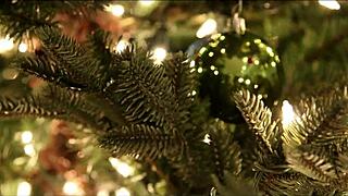 Step Mom Saves Christmas