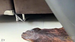 Natzynha Morena From Santa Catarina Has A Body Worthy Of A Brazilian Girl