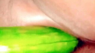 Desibhabhi Sex: Village Wife Fucking with Cucumber