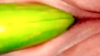 Desibhabhi Sex: Village Wife Fucking with Cucumber