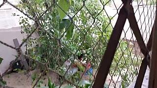 she didnt know her neibor had a bbc and loved anal, but i fucked her hard