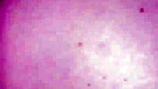 Pawg bbc amateurs creampie interracial milf