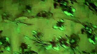 Saturday Visit To Big-Bootied Single Mom Waiting Without Panties