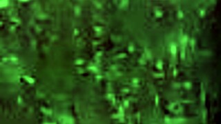 Saturday Visit To Big-Bootied Single Mom Waiting Without Panties