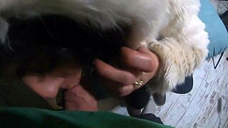 Blowjob Fetish Compilation In Sexy Clothes.