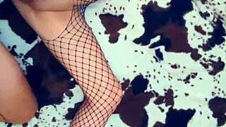 Ever Wonder POV Wife's Ass Holes Ripped Open in Stockings?