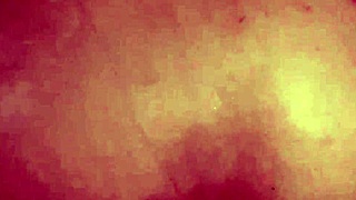 Hijastro barcelonista fucks coketa madrastra emelecista who wins the match?