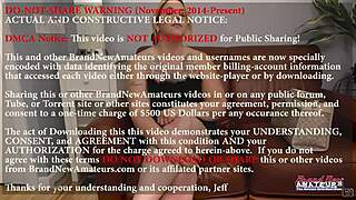 Busty Logan Lace sucks dick gets muff pounded hard