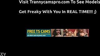 Watch This Cute Shemale's Cock Explode Cum Everywhere!