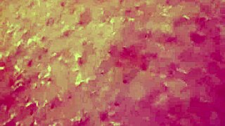 curvy bbw first time dildo fucks fat tits pussy