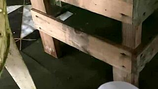 wanna see this slim waist bitch flash her puffy pussy at the beach?