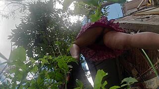 voyeur cuñado hides cam up latina esposa's skirt while she bends pruning tree, flashing nalgona panties unaware