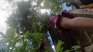 voyeur cuñado hides cam up latina esposa's skirt while she bends pruning tree, flashing nalgona panties unaware