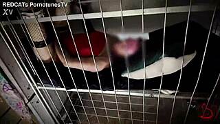 Slut bound in cage, strangers breed her pussy yearly at farm