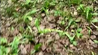 perfect college blonde olivia bay lets me grope her huge natural titties outdoors!