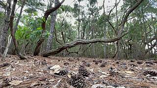 damn that rush hits hard fingering my narrow brazilian ass and small tits!