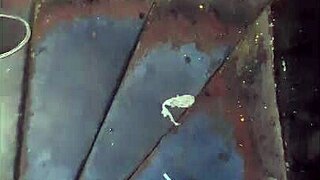 raw gloryhole sucks strangers bareback no condom