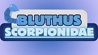 Bluthus Scorpionidae's Big Ass Ginger Milf Facesits Then Rides Huge Cock Doggystyle