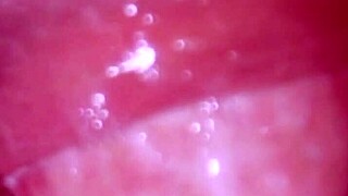 we filmed every close-up thrust in our raw intense blonde teen creampie sex tale