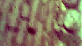 Exhibitionist slut bends over everywhere begging for anal assfucking in public spots