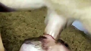 Street-Smart Paulista Lures Sultry Carioca Home for Secret Tease