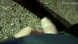 paguei um jantar e ela me pagou um boquete no meio do mato firegreen2