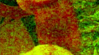 Intense Amateur BJ Anal Rhythm