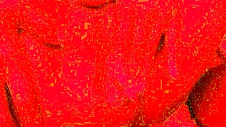 Monika Fox POV Homemade Anal Fisting Prolapse Huge Dildo