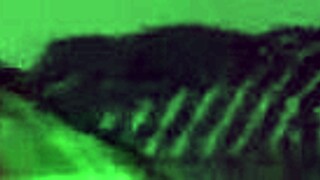 Hey, teaching my sweet sub neighbor a dirty spanking lesson