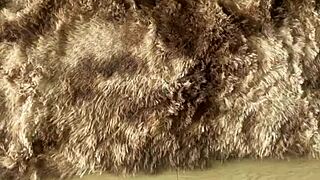 Getting Completely Facialized by That Massive Monster Cock Deepthroat Sloppy Style