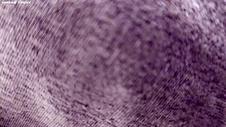 black pornstar tattoo mod around ass now bigger for creampie domination threesome?