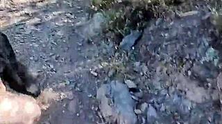 beautiful young couple rips clothes for intense deepthroat and wild fucking with the trip driver