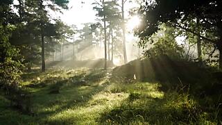 cristian cipriani shows oral sex on his girl