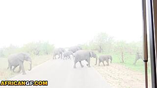 Big Tits Ebony Babe Fingers Big Clit POV Close-Up Till She Cums Hard!