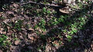 i tease my shaved pussy outdoors while he strokes his cock watching me cum