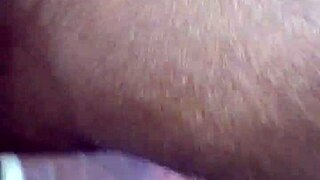 check out this massive bbw booty shaking hard