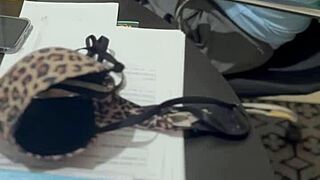 corno levou belinha na casa do amigo pra ele fuder ela bem