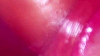 step bro's back so i drop to knees for his amateur facial cumshot