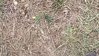 flashing my huge cock outdoors while ladies watch me stroke 😏💦