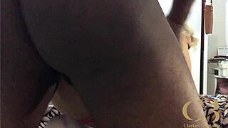 damn no pussy just nonstop anal pounding stellastill sp 100 bareback big black cock deepthroat interracial pov cam2