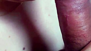 Dominican BBW wakes him with fat tits morning blowjob