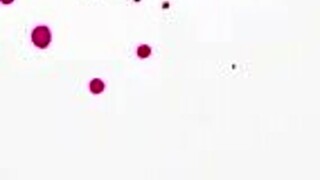 Step-mom, need relief? Let mommy Ophelia Kaan suck your huge load dry?