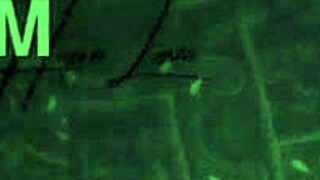 I fucked my stepsister's huge ass bent over the bed doggystyle