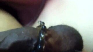 Wife's Soft Lips Tease My Shaft In Intimate Evening Bliss