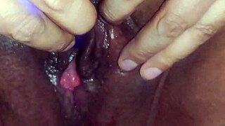 watch bbw latina wife strip naked