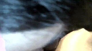 yo, that chocolate spinner's deepthroating big black cock like dinner!