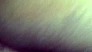 Hidden Wife Moments Captured on Camera