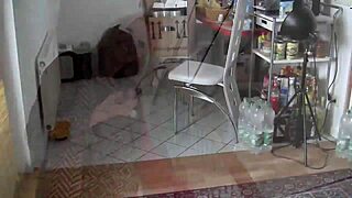 blonde milf slut picked up on street and fucked hard at home